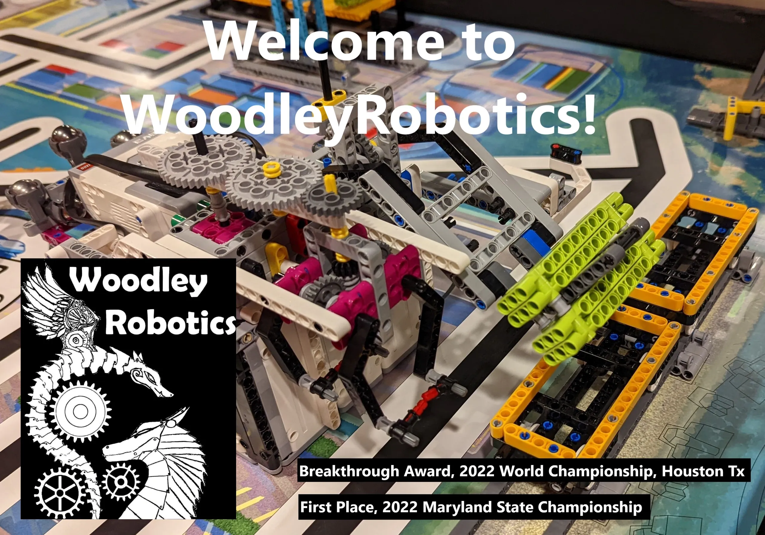 The WoodleyRobotics team